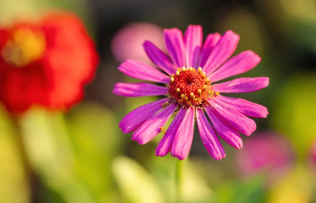 St AndrewEmpowering Earth Stewards